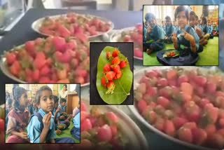 Amravati Melghat Zilla Parishad Secondary School organized strawberry party for students