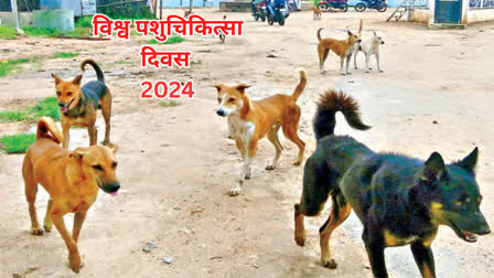 WORLD VETERINARY DAY 2024