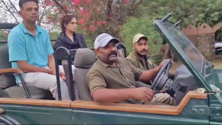 CRICKETER RAHUL IN JHALANA  JHALANA LEOPARD SAFARI  Indian cricket team coach