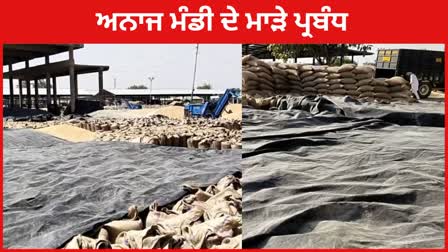 Lifting problem of Barnala Dana Mandi