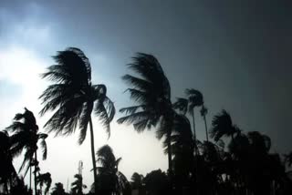 WEATHER FORECAST