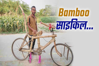 BAMBOO CYCLE