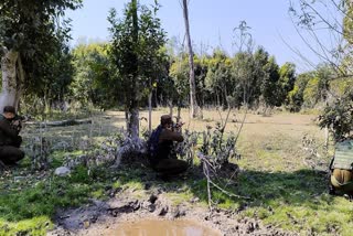 JAMMU AND KASHMIR  CEASEFIRE  LOC  PAKISTAN INDIA
