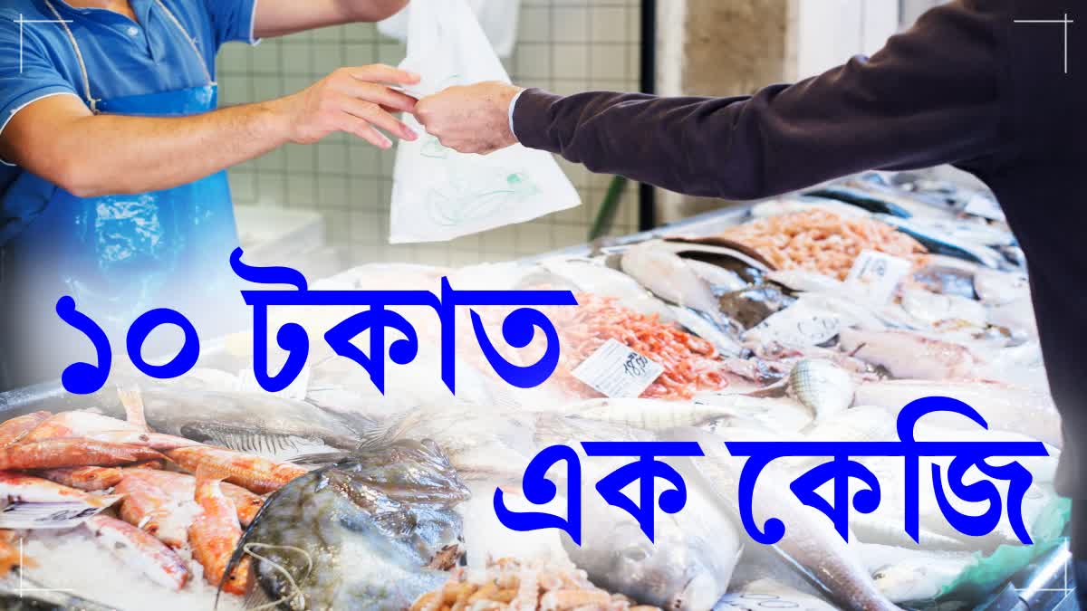 Wholesale fish market