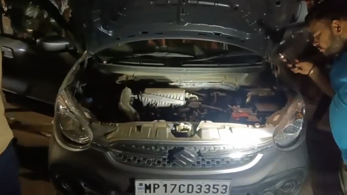 SNAKE BITE INSIDE CAR