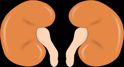 URINARY INFECTION KIDNEY STONES