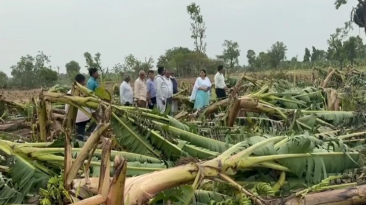 Burhanpur Banana Crop Loss Survey started