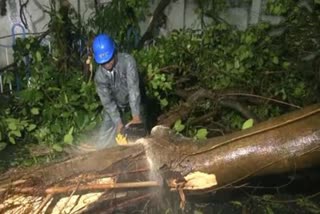 CYCLONE REMAL LATEST NEWS  REMAL CYCLONE IN KOLKATA  RAINFALL IN KOLKATA  റിമാൽ ചുഴലിക്കാറ്റ്