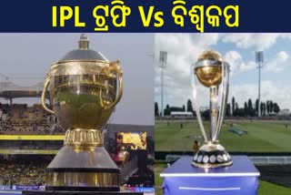 IPL Trophy Price