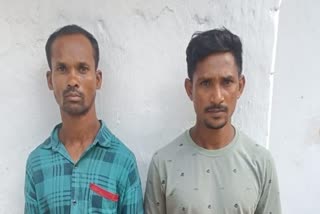 Two Naxalites arrested