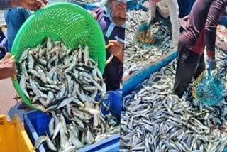 FISH PRICE IN TELANGANA  മത്സ്യക്കൃഷി തെലങ്കാന  climate change in Telangana  Fish farming in Telangana