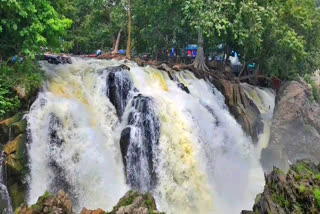 ஒகேனக்கல் அருவி