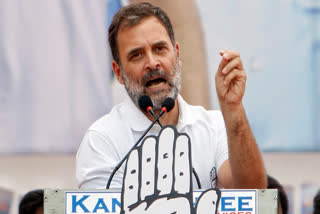 Congress leader Rahul Gandhi was addressing a rally in Bihar when a portion of the dais set up for the rally caved in. Gandhi was at Paliganj in the state.
