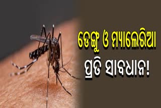 How Can Prevent Dengue and Malaria
