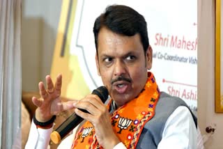 Devendra Fadnavis said about MP Sanjay Raut that he writes articles after smoking ganja