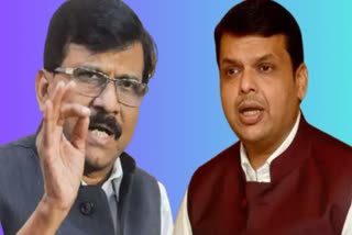 Devendra Fadnavis On Sanjay Raut