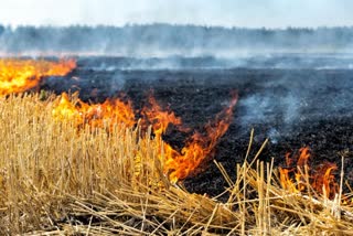 Crop Residue Fire in Kurukshetra