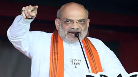 Rahul, Priyanka Will Not Be Blamed for LS Defeat: Shah