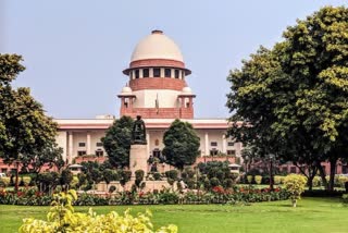 APEX COURT