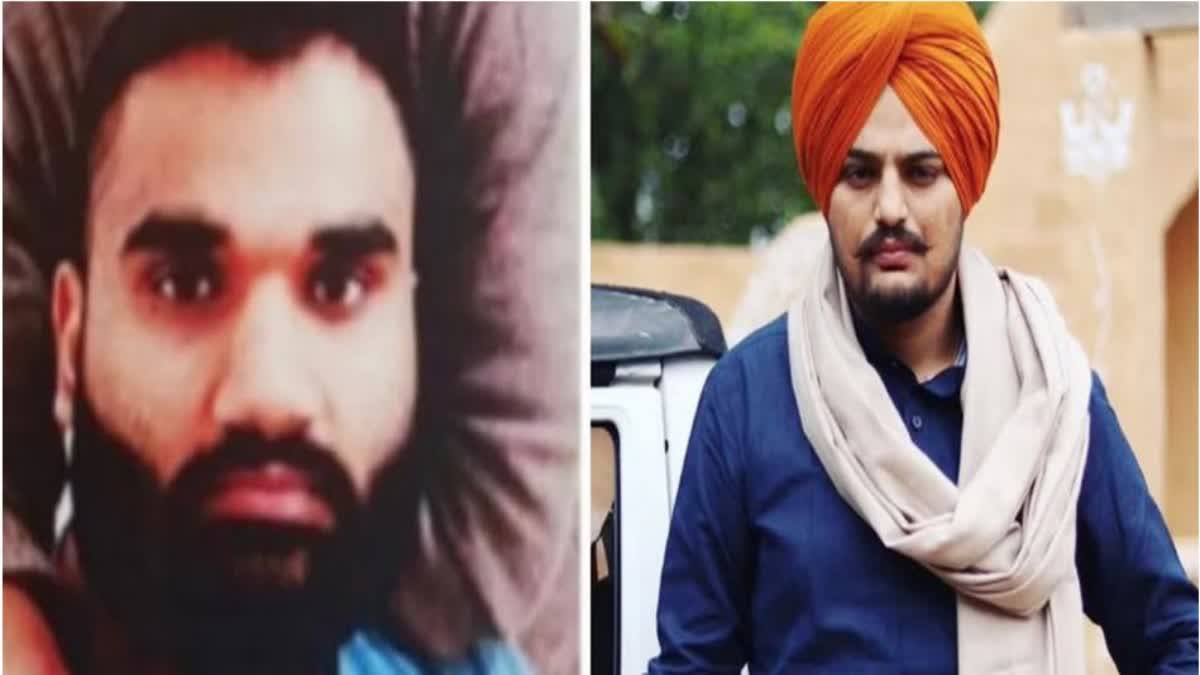 Sidhu Musewala Case: ગોલ્ડી બરાડે મુસેવાલાની હત્યાની કબૂલાત કરી, કારણ પણ કહી દીધુ