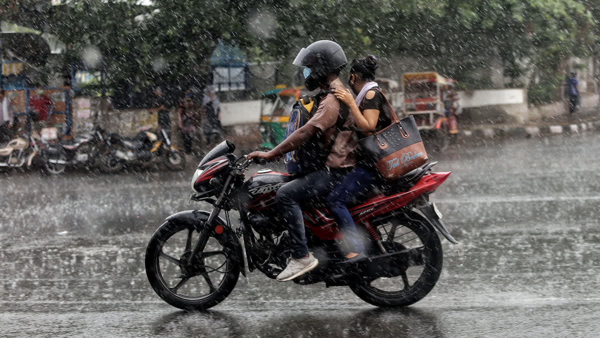 kerala rain  kerala rain alert  kerala rain alert today  kerala rain today  കാലവര്‍ഷം  മഴ  ഇന്നത്തെ മഴ  മഴ മുന്നറിയിപ്പ്  യെല്ലോ അലര്‍ട്ട്