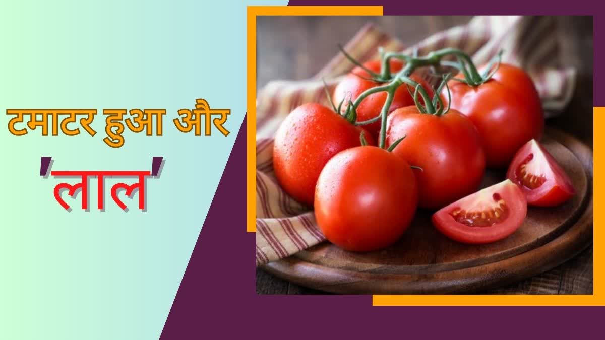 Tomato Price