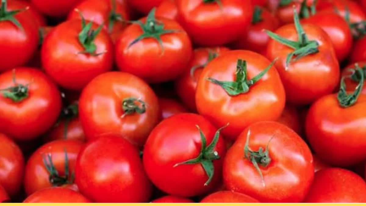 Tomato Price Hike