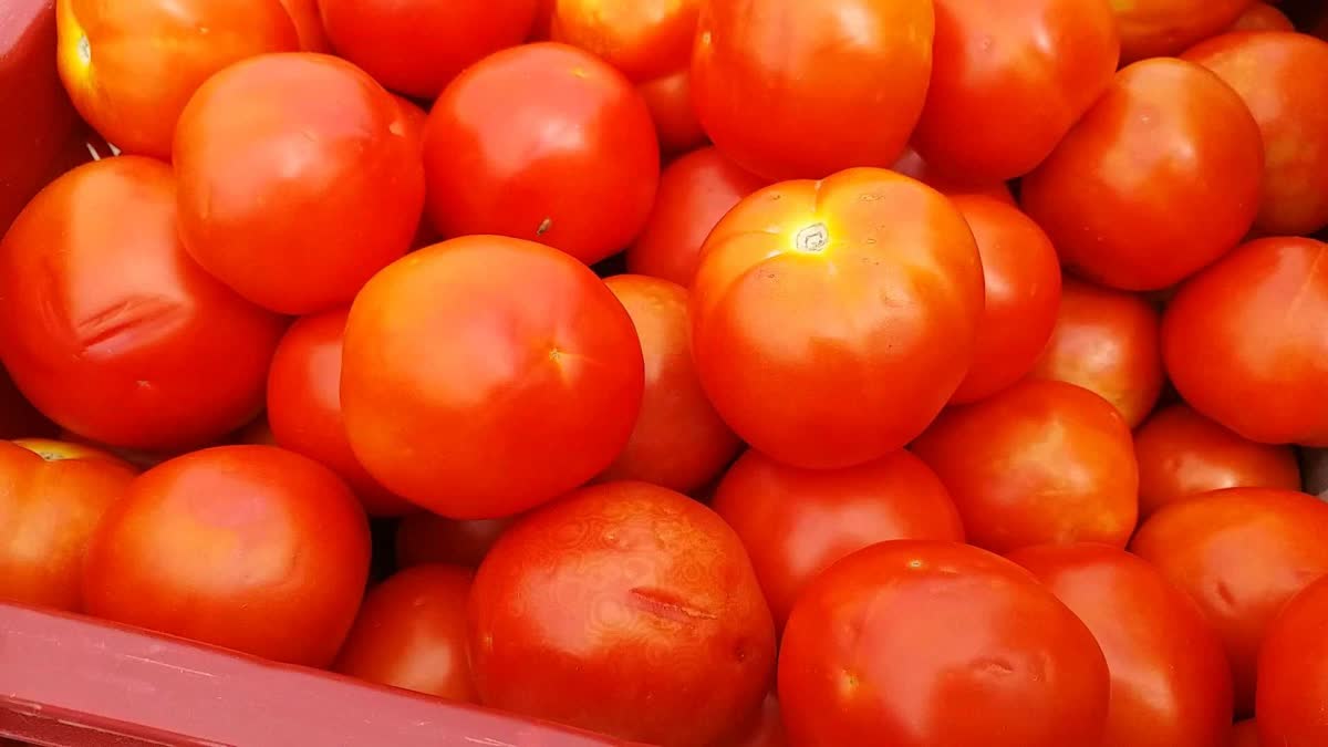Tomato Price Rise : દાળ-શાકમાં ટામેટા જોવા નહીં મળે ?