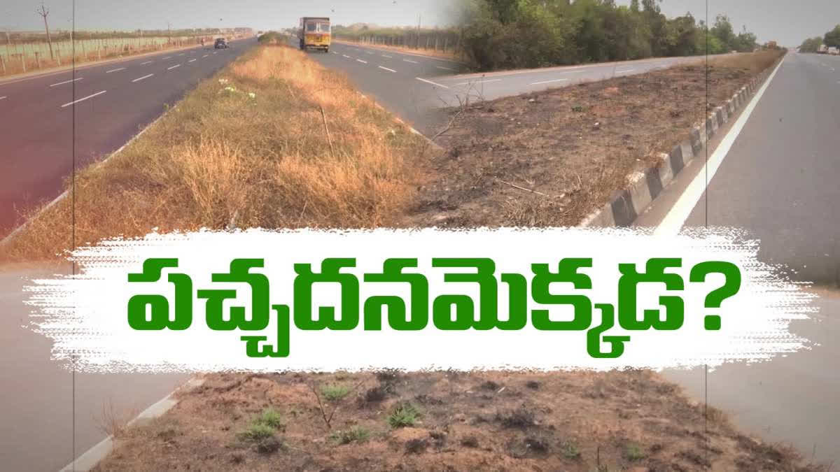 No Greenery Highways