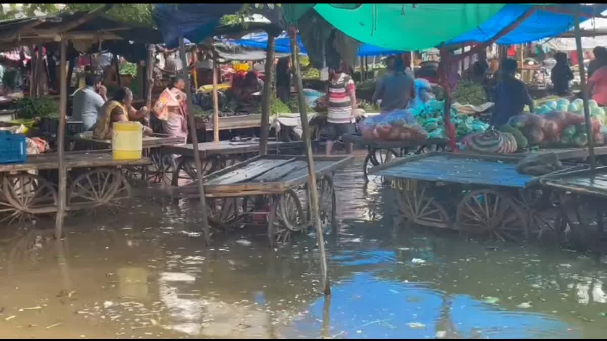 Navsari Monsoon News : નવસારી જિલ્લામાં મેઘરાજાની ધમાકેદાર એન્ટ્રી