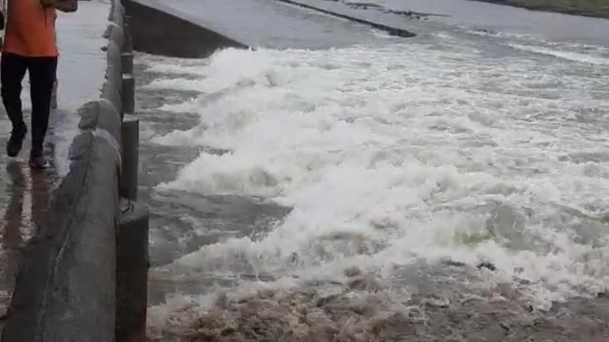 Navsari Monsoon News : દેવધા ડેમના તમામ દરવાજા ખોલવામાં આવ્યા, ગણદેવી તાલુકાના 13 ગામો એલર્ટ પર