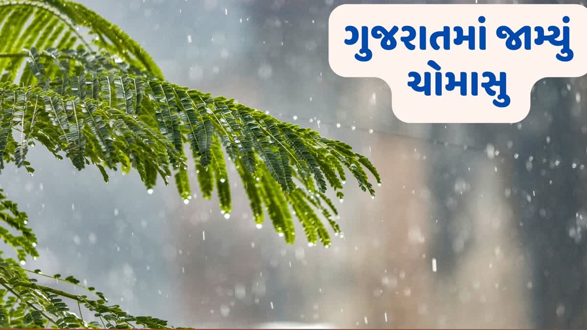 booming-entry-of-monsoon-in-gujarat-light-to-heavy-rains-in-147-taluks