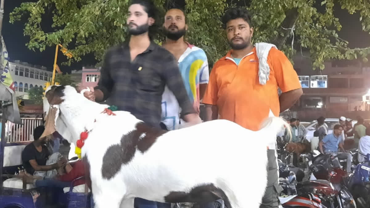 Bakrid 2023: less supply of goats in Bakra mandi, rates go higher