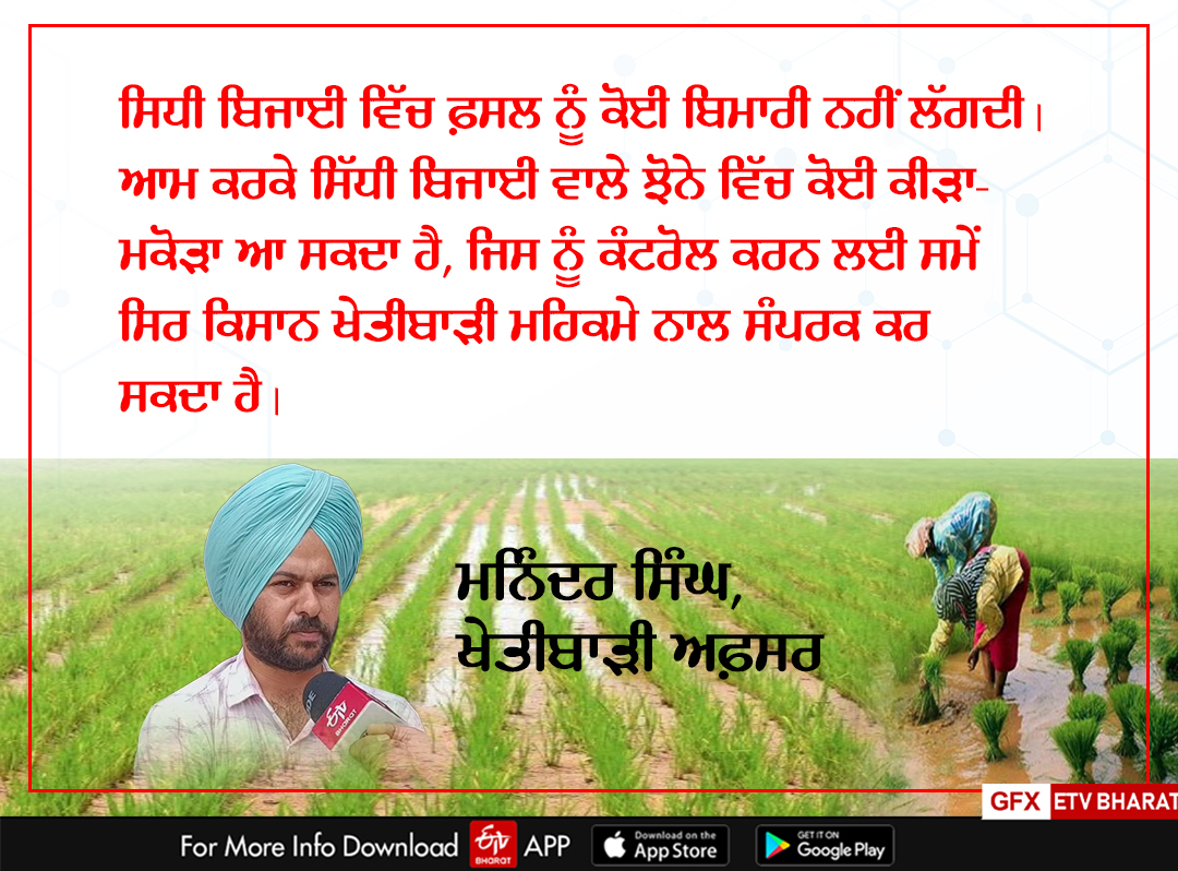 Direct sowing scheme of paddy, Bathinda