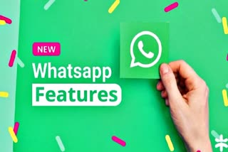 WhatsApp New Interface