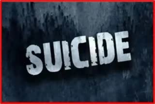 Nagpur suicide News