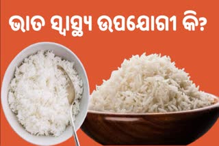 White Rice