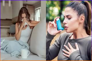 Etv BharatPrecautions For Allergy Problem