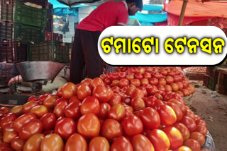 Tomato prices hike