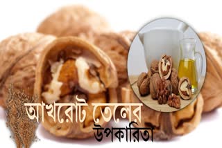 Walnut Oil For Skin News