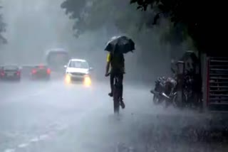 Weather Update: தமிழ்நாட்டில் 5 நாட்களுக்கு மிதமான மழைக்கு வாய்ப்பு!