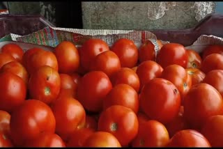 Surat Tomato Price : ટામેટા થયા લાલ, સુરતની બજારમાં એક સપ્તાહમાં બમણા ભાવ
