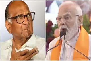 Narendra Modi on sharad pawar