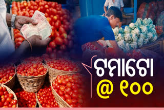 tomato price hike