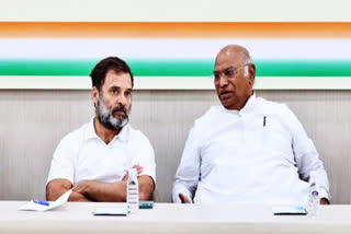 Be united, go all out against BRS govt, Rahul tells Telangana Congress