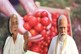 Tomato Price Hike