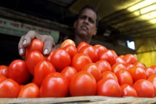 Congress blames PM Modi's 'wrong policies' for rising tomato prices