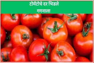 Tomato Price Hike