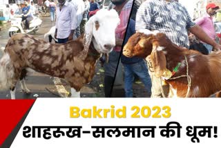 Goat market in Ranchi for Bakrid 2023