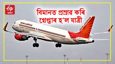 Air India Urination Case